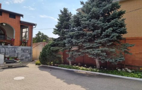 Дом престарелых «Доверие» в Ростове-на-Дону